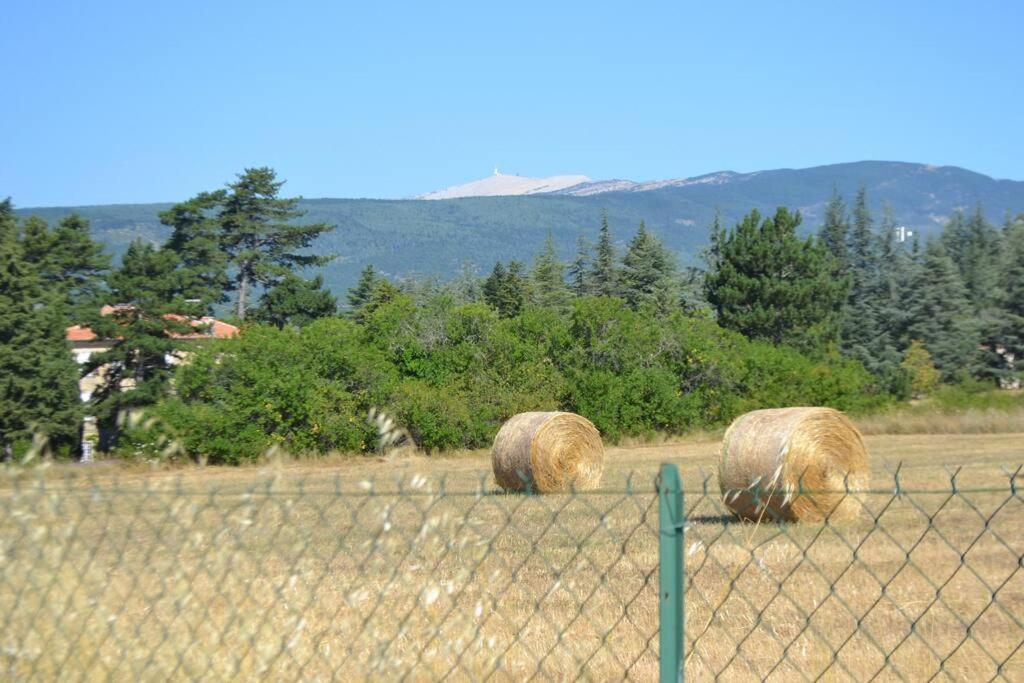 Les Fadas Du Ventoux ソー・ドゥ・ヴォクリューズ エクステリア 写真